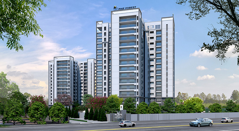 PRESTIGE PINE FOREST IMAGE-1