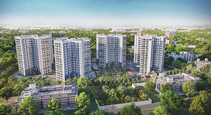 PRESTIGE PINE FOREST IMAGE-2