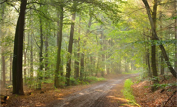 PROVIDENT PARK SQUARE-5